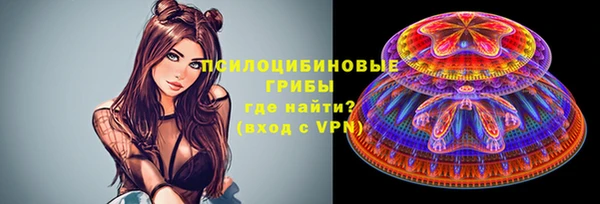 прущие грибы Абаза