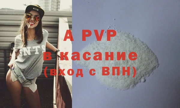 прущие грибы Абаза