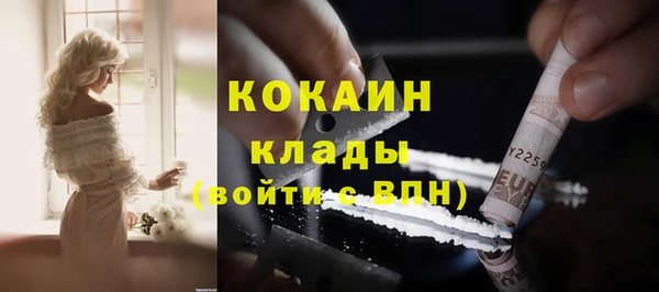 прущие грибы Абаза