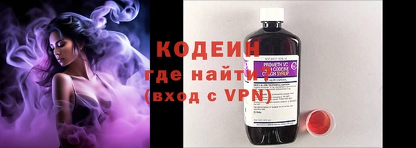 прущие грибы Абаза