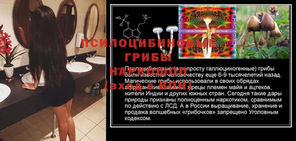 мескалин Абинск