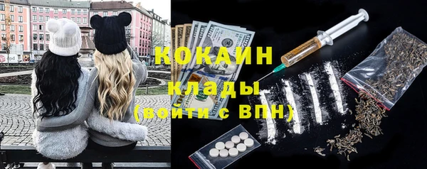 прущие грибы Абаза