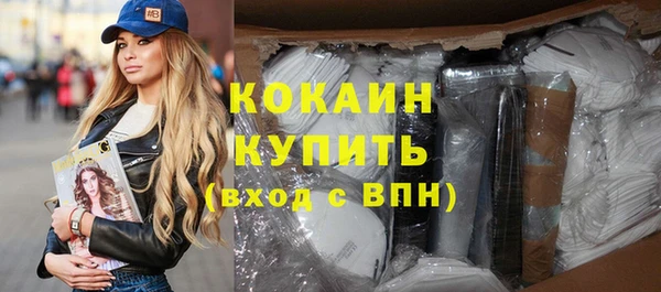 прущие грибы Абаза