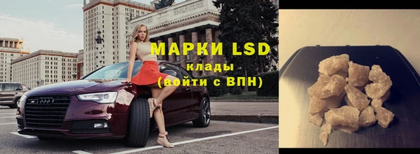 прущие грибы Абаза