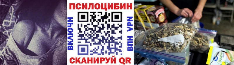 Галлюциногенные грибы мицелий  Кудымкар 
